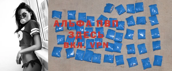 индика Инта