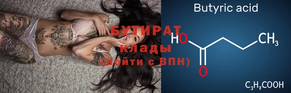 индика Инта