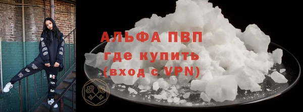 индика Инта