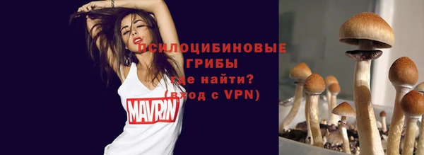 индика Инта