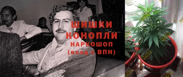 ГАЛЛЮЦИНОГЕННЫЕ ГРИБЫ Зеленокумск