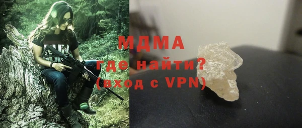 индика Инта