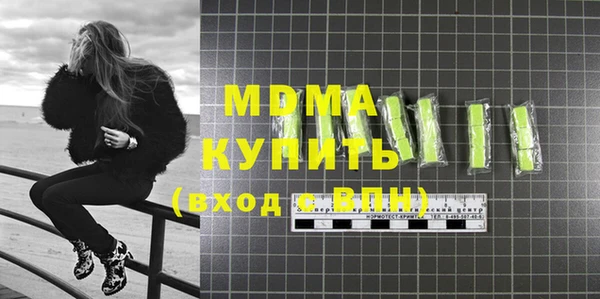 индика Инта