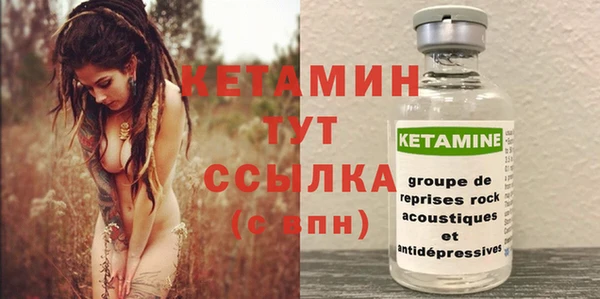 индика Инта