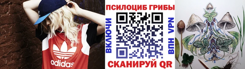 Псилоцибиновые грибы Cubensis  Рубцовск 